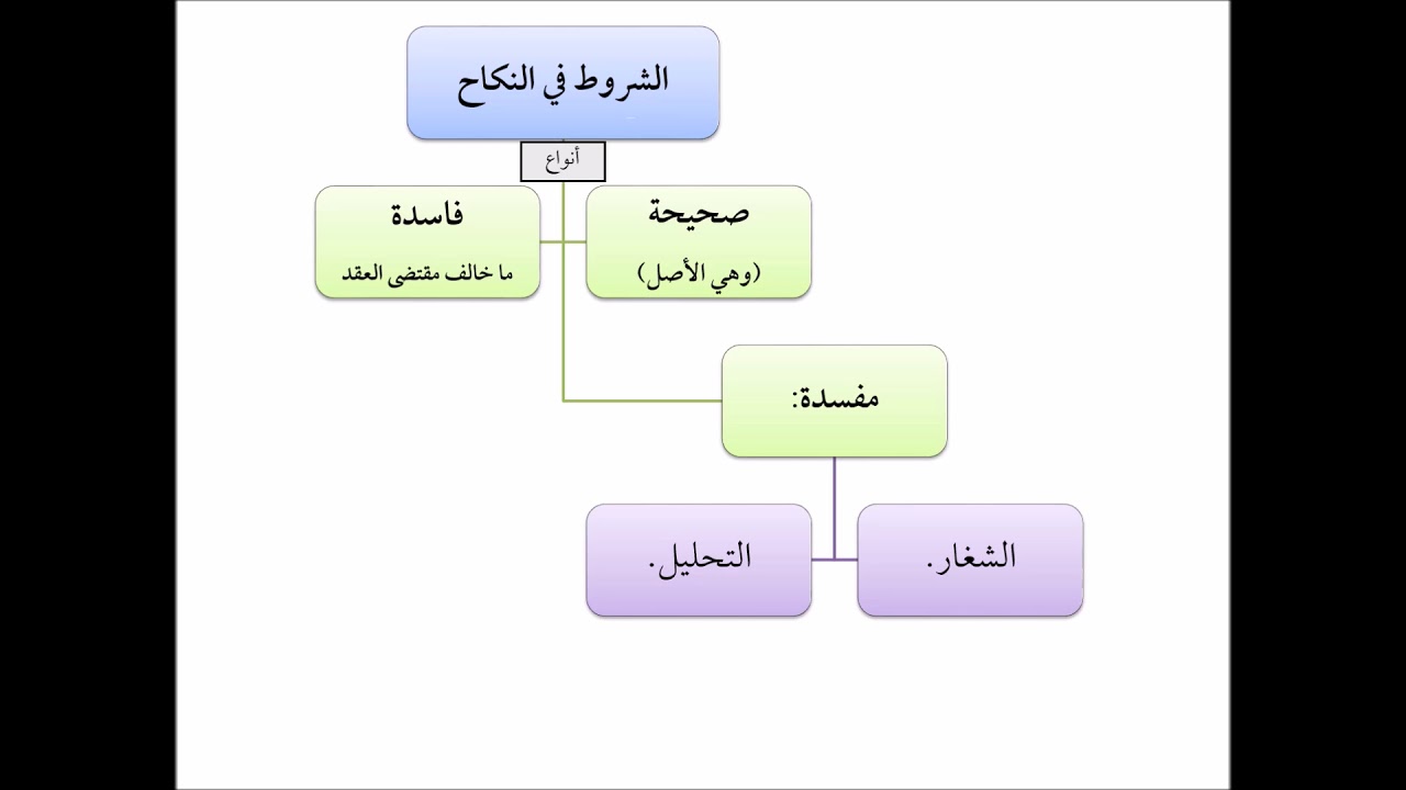 فقه الأسرة (12) الشروط في النكاح - عامر بهجت - التأهيل الفقهي
