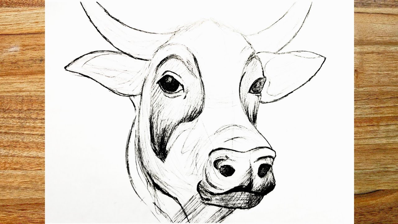 Pencil Portrait of a Cow's Head Using Various Techniques