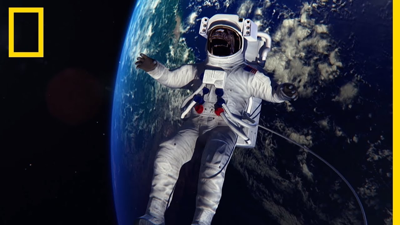 Comment sont &eacute;quip&eacute;es les combinaisons d'astronautes ?