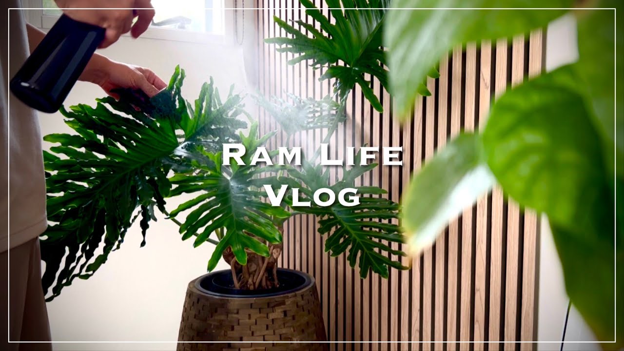 植物のある暮らし/植物棚とリビングのプチDIY/観葉植物/おうちカフェ