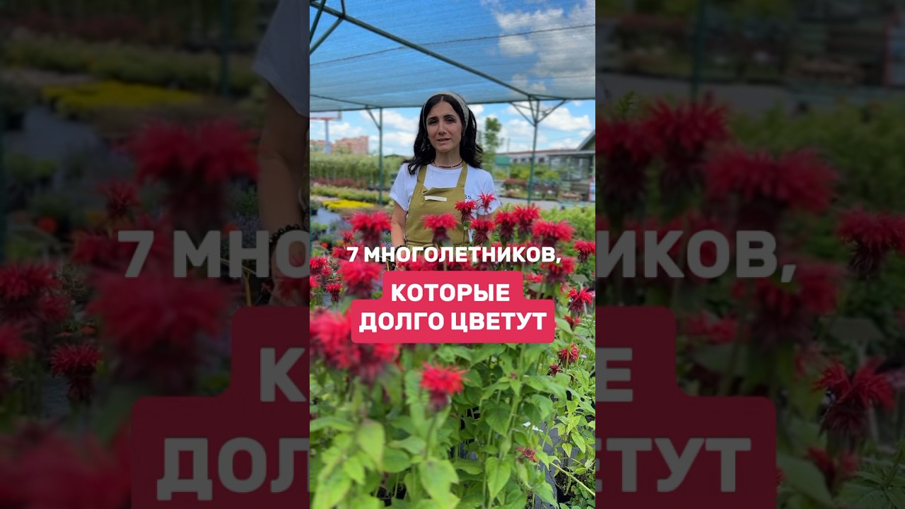 ДАРИМ ГАЙД ПО УХОДУ ЗА ТУЯМИ НА 10 ЛИСТАХ👉 в описании канала #садоводство #сад #дача #садовыйцентр