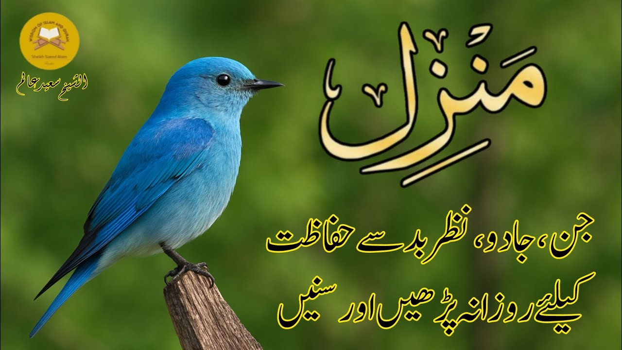 Manzil Dua |Ruqyah Shariah |442 |منزلdaily recitation of manzil dua Cure and Protection by Evil