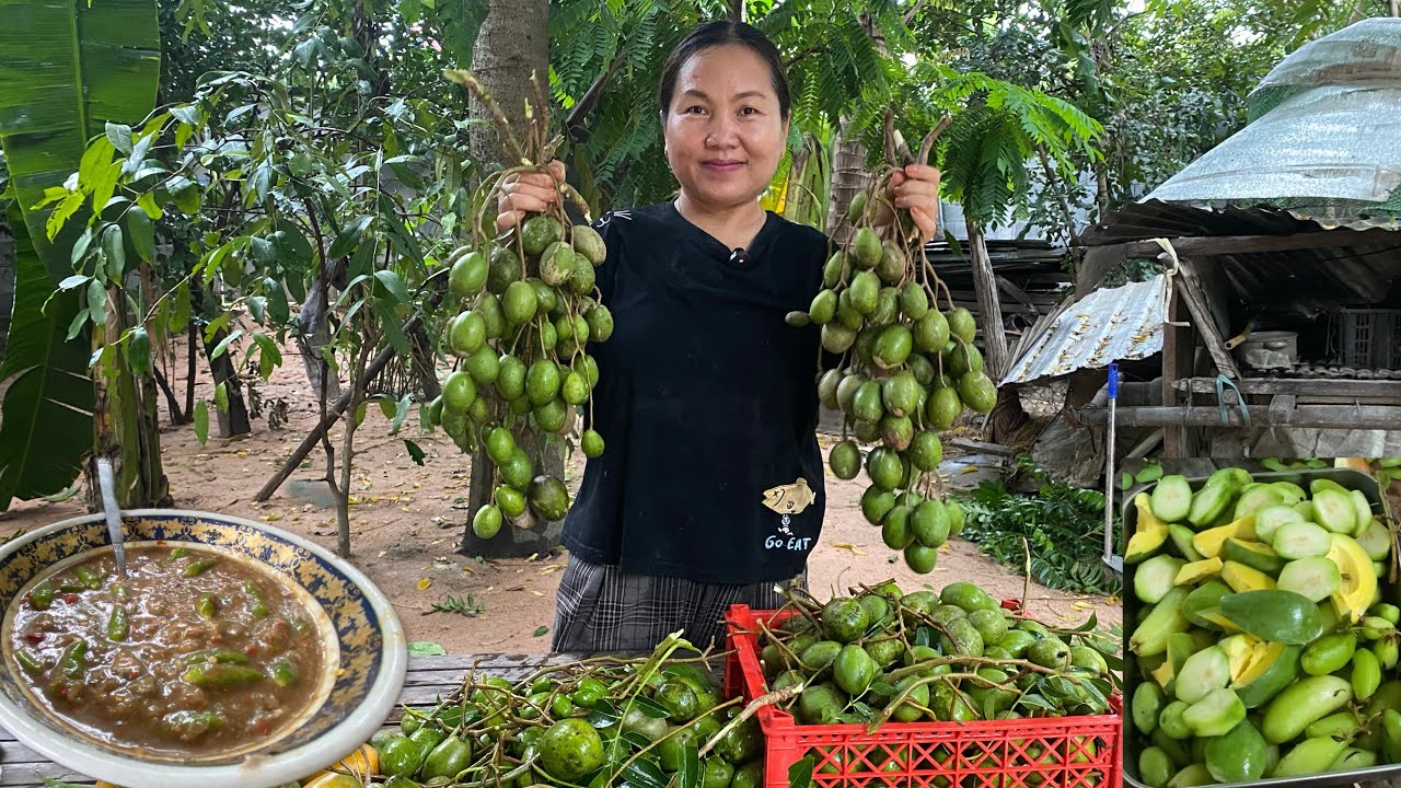 Many fruits with sour taste Eat as a snack, These fruits are often sold as street food .
