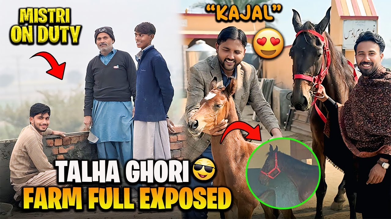 Talha Ghori Farm Full Explore Krdiya😍Finally Mistri v Aagaye 😍 گھر واپسی 