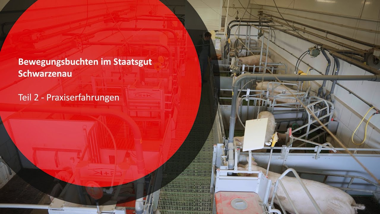 Bewegungsbuchten im Staatsgut Schwarzenau - Teil 2: Praxiserfahrungen