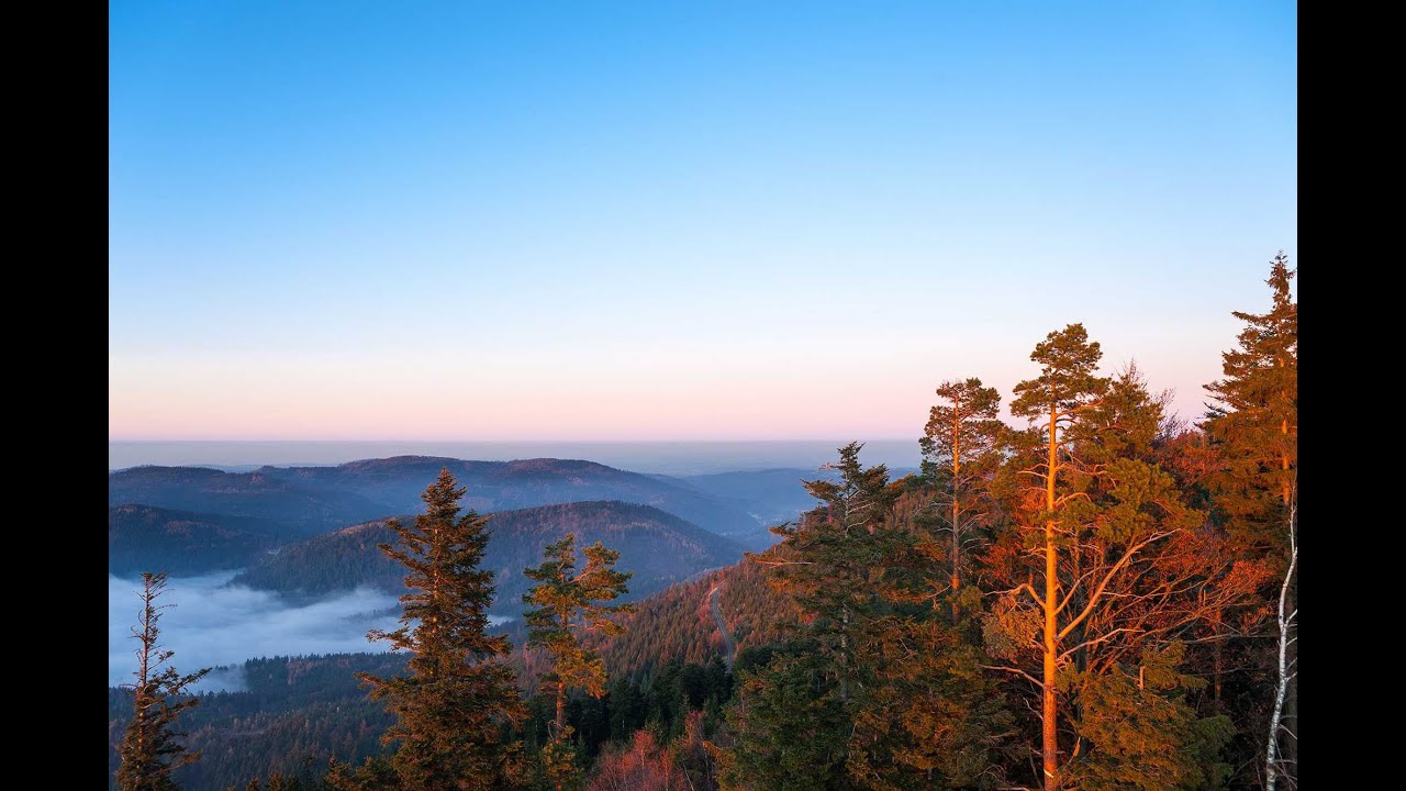 Urlaub im Schwarzwald - Traum Ferienhaus Schwarzwald
