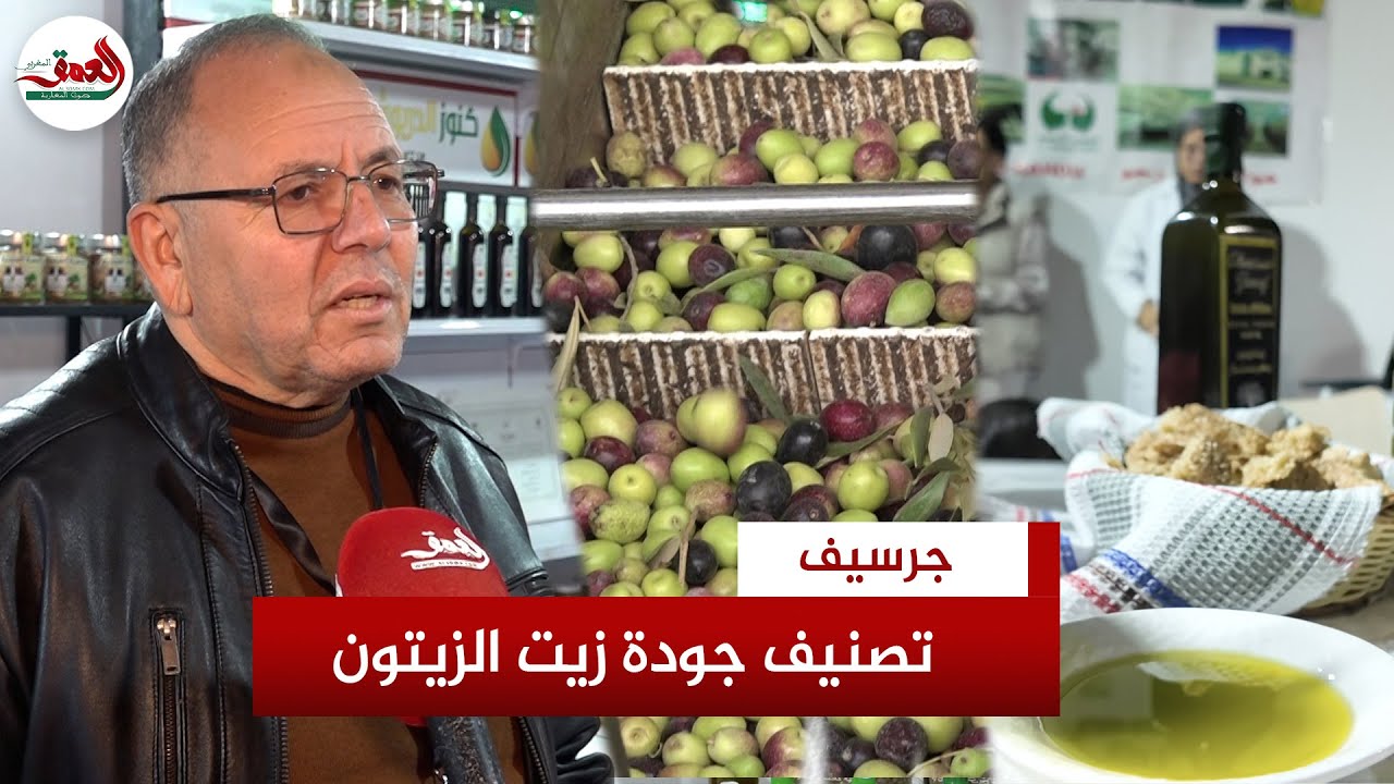 ثلاثة أصناف.. منتج زيت الزيتون يكشف أصناف جودة الزيت وهذه أسباب غلائه هذه السنة