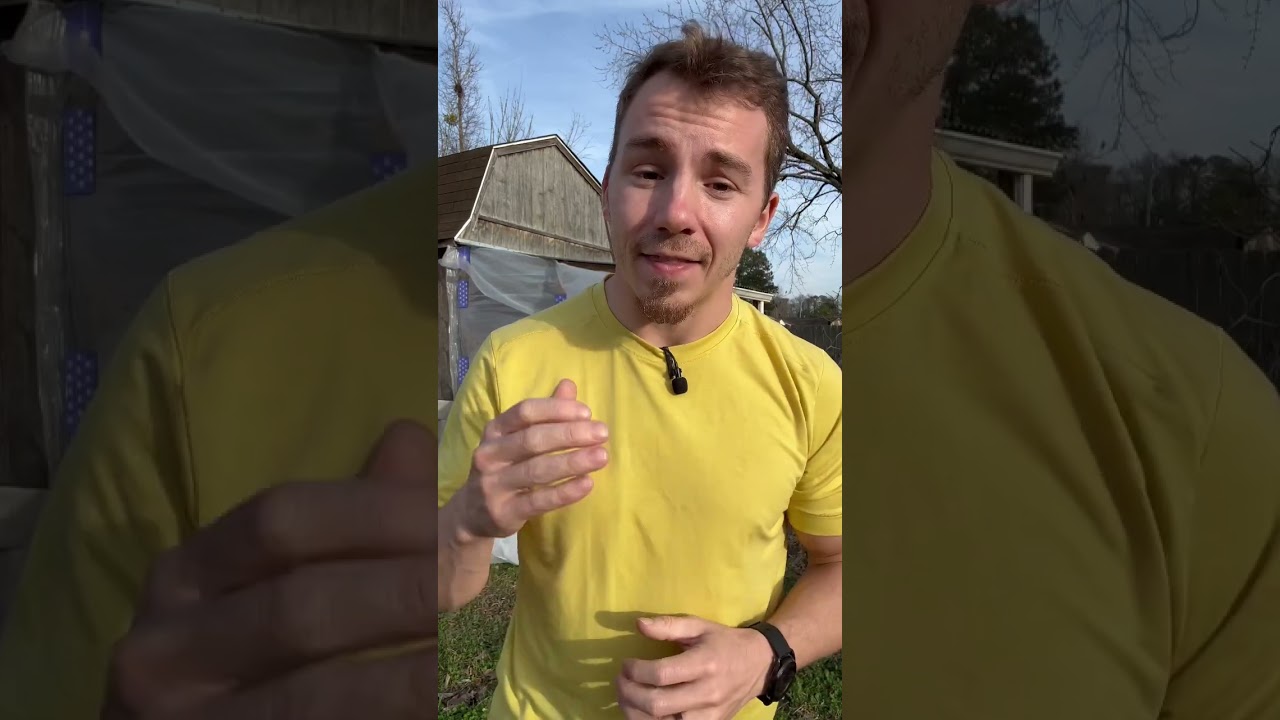 Как лечить шмель у кур