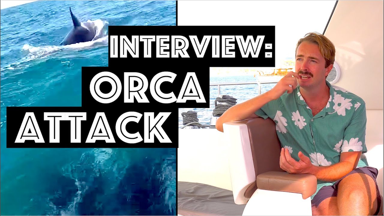 Orcas attack the boat - interview with skipper and crew / Special edition by Sailing Aquarius
