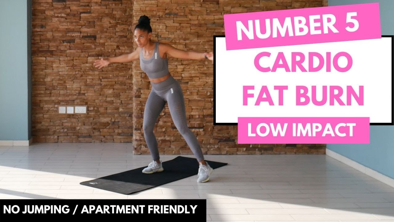 No Jumping - LOW IMPACT CARDIO Workout | Beginner Friendly - No.5