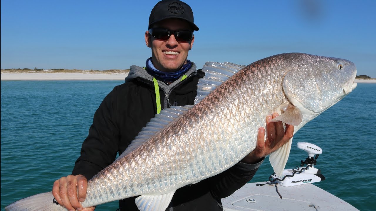 THE BIGGEST BULL REDFISH IN PENSACOLA!