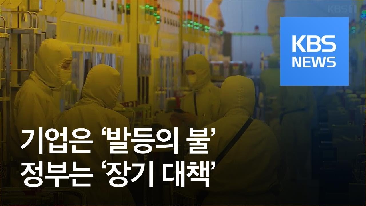 &lsquo;핵심 소재 국산화 갈 길 먼데&rsquo;&hellip;日규제 코앞인데 장기대책? / KBS뉴스(News)