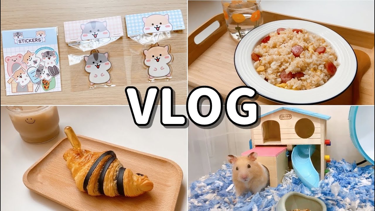 【VLOG】宅家日常～香腸炒飯、鼠鼠貼紙.壓克力鑰匙圈