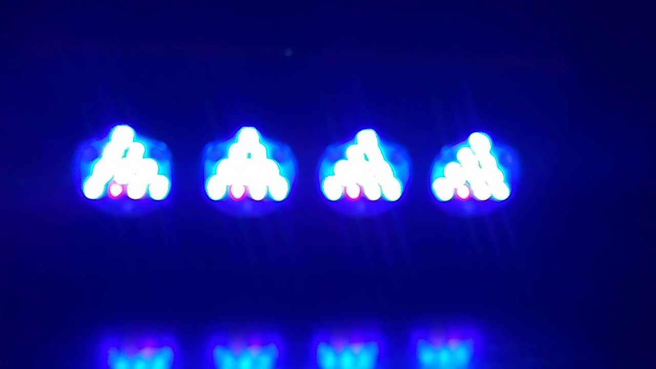 Hydra 52hd