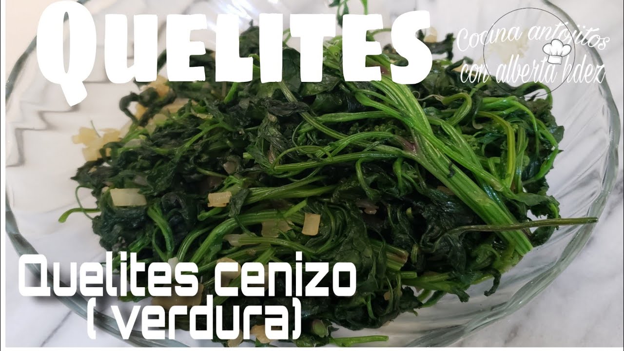 Así guiso estos Quelites cenizos ( verdura)estilo mi rancho, como los cocinaba mi mamá.