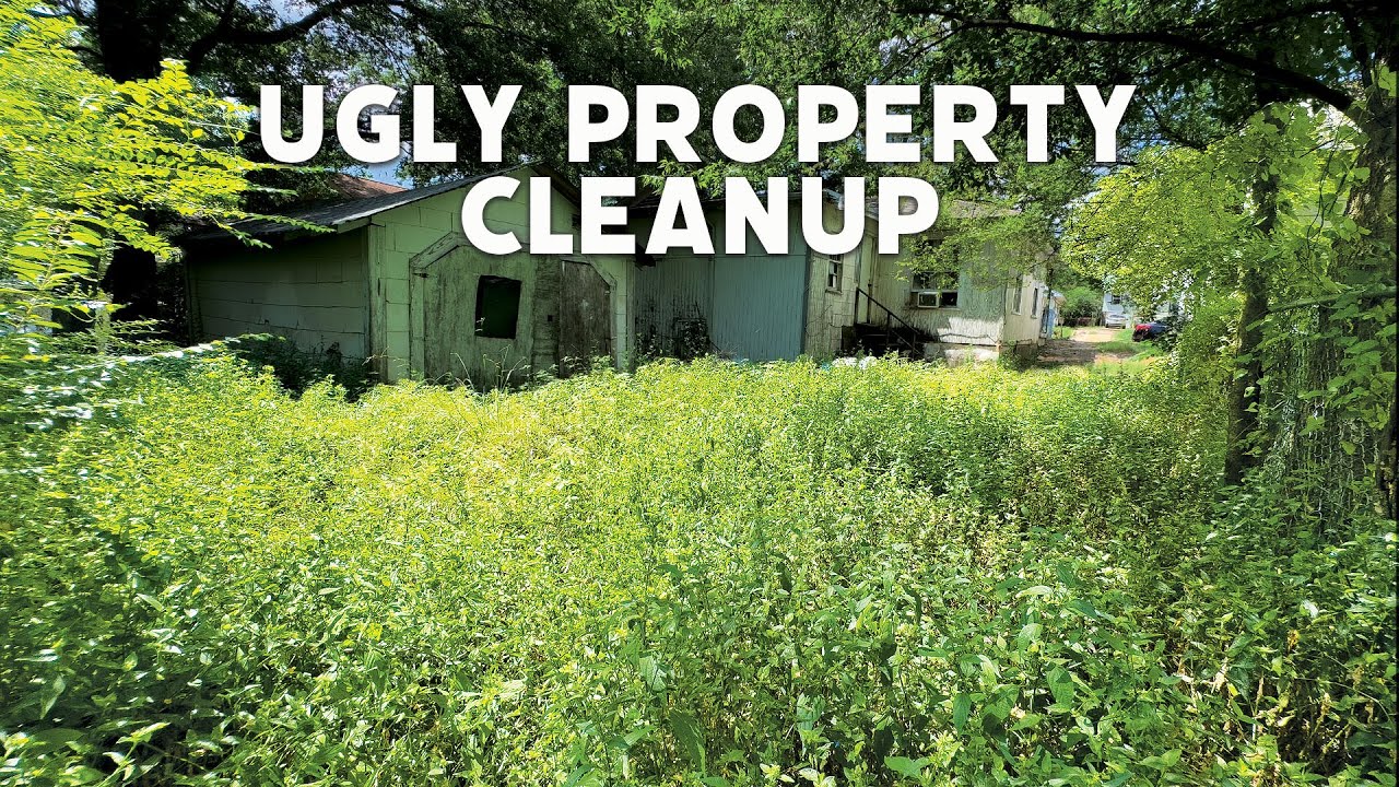 You Won’t Believe This Before and After! Abandoned Yard Cleanup