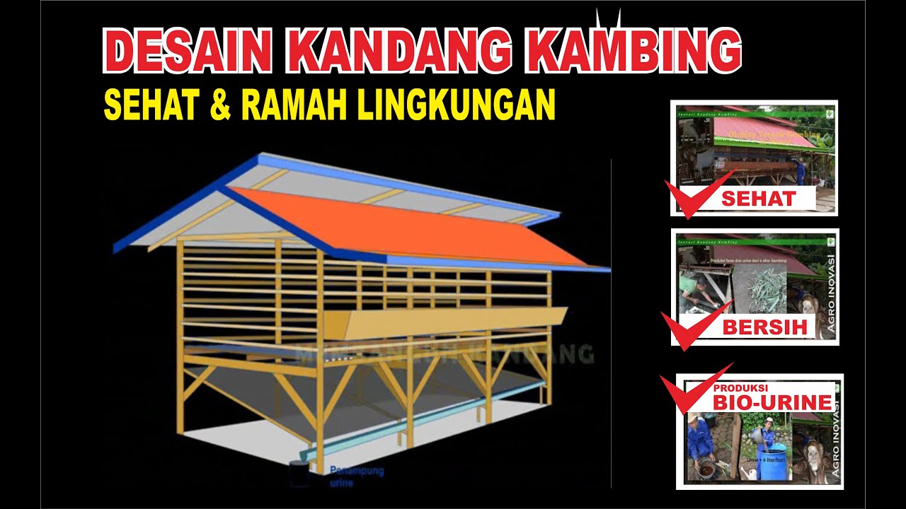 INOVASI PETERNAKAN | Kunci sukses ternak Kambing dengan inovasi Kandang