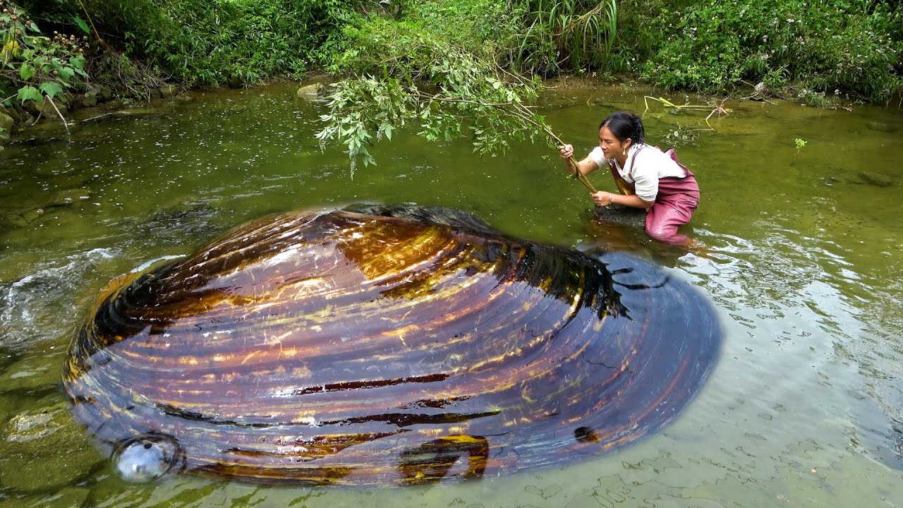 As soon as I arrived here early, I found the big river clam, and soon there were many pearls
