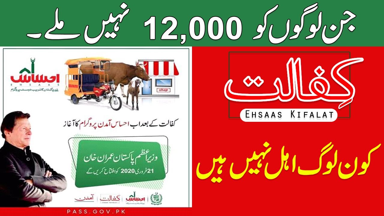 Ehsaas Online Program | ehsaas nadra gov pk | Insaaf Imdad