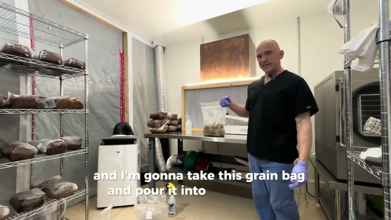 Grain-to-Grain Transfer: Scaling Up Your Mushroom Grow