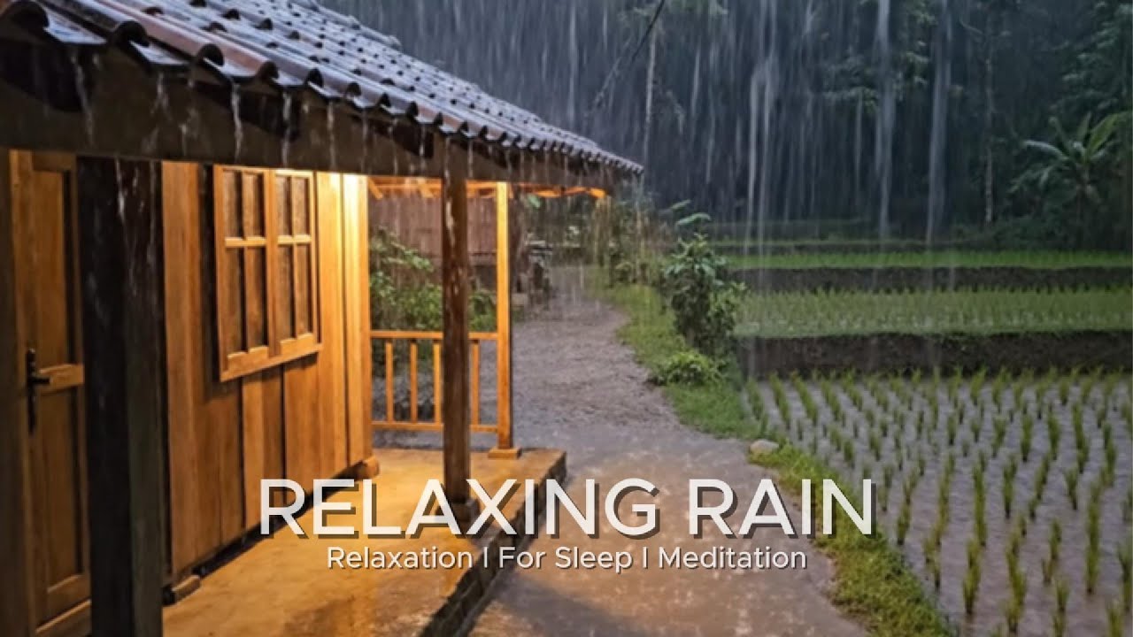 Quiet Night Rain in the Forest 🌧 | Peaceful Sleep Ambience