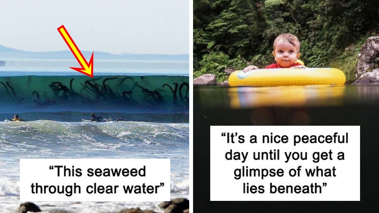 Terrifying Pics To Show Why The Fear Of Deep Water Is Real