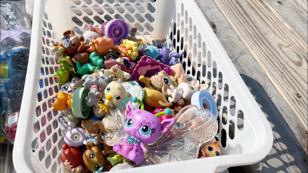 Huge Lps Flea Market Hunt!