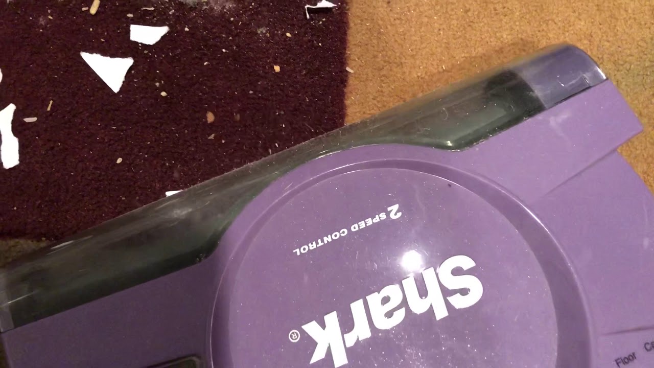 Shark cordless vacuum. Little mess test!