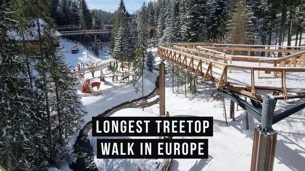 Longest treetop walk in Europe | Brama w Gorce - brand new | 30 mins from Zakopane, Poland