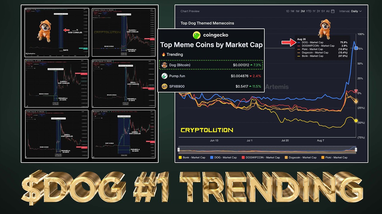 $DOG TOP PERFORMER & #1 TRENDING MEMECOIN 🏆