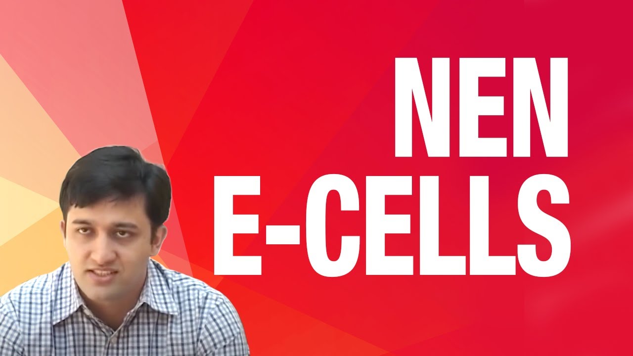 WF I NEN: Building High Performance E Cells & Influencing Entrepreneurship | Wadhwani Foundation