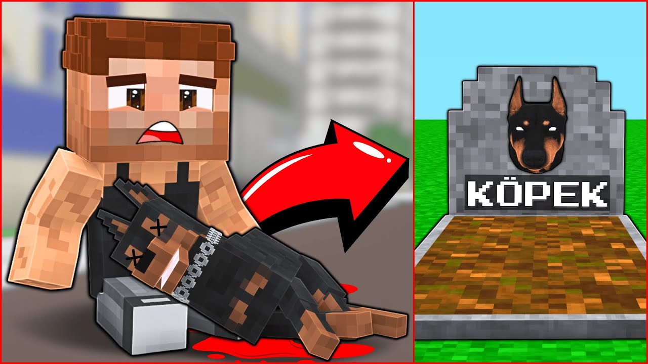 ALİ'NİN KASLI DOBERMAN KÖPEĞİ ÖLDÜ! 😱 - Minecraft