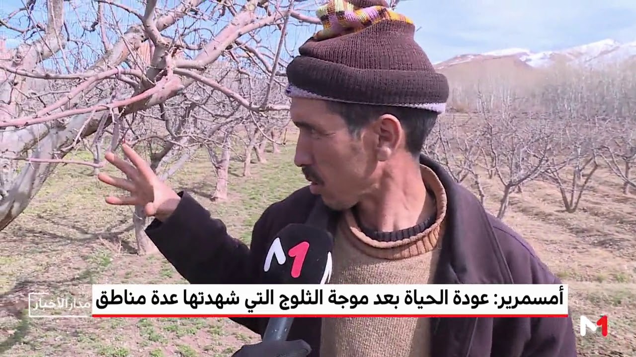 بعد أسبوعين من التساقطات الثلجية .. الحياة تعود لأمسمرير