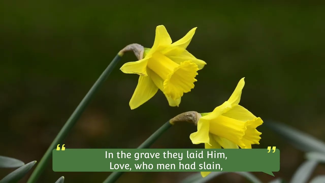 Now the Green Blade Riseth