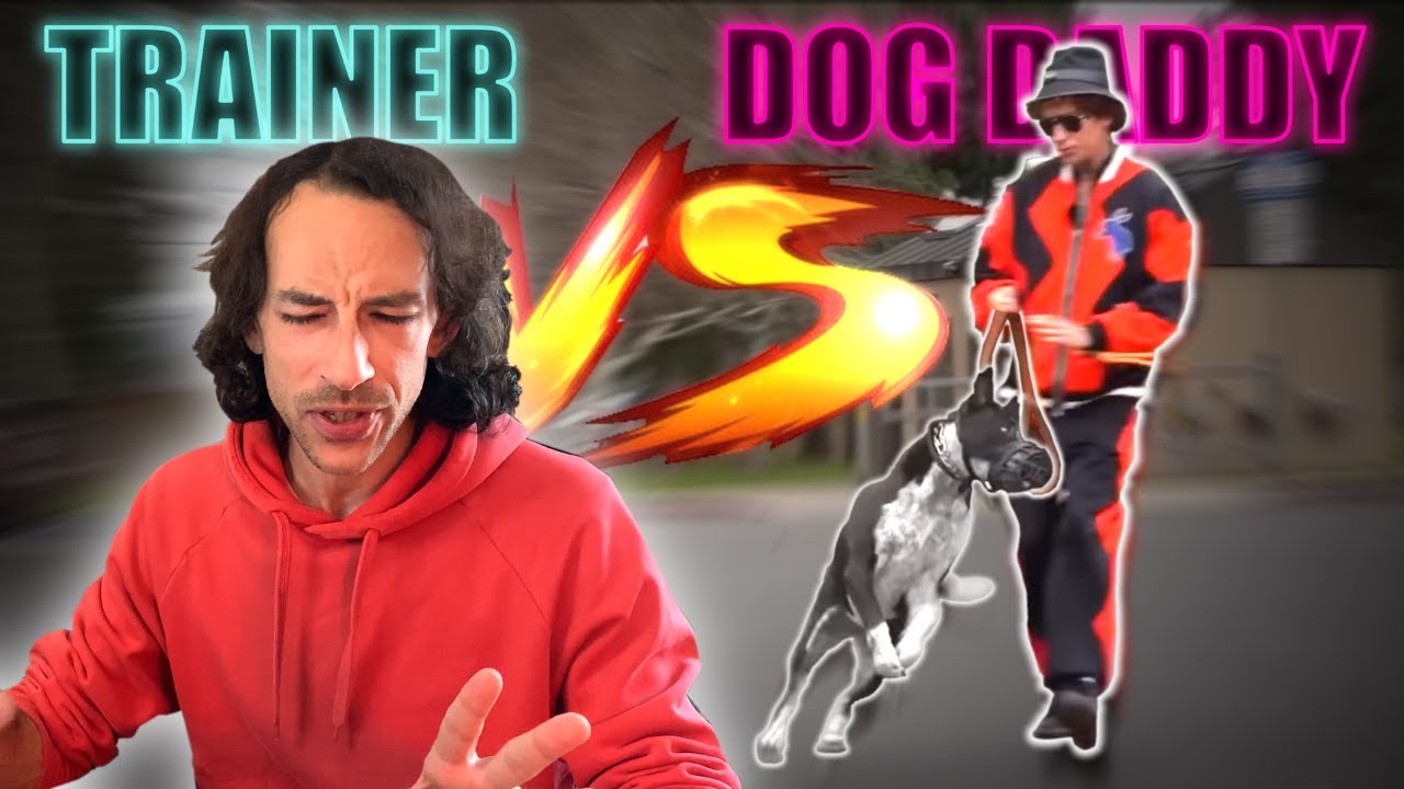 ADDESTRATORE reagisce a The Dog Daddy : Cani 