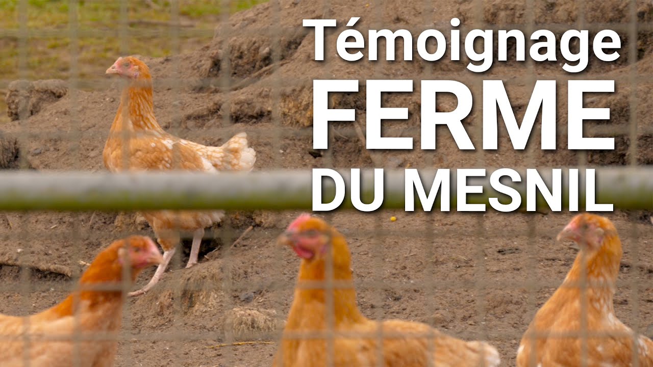 Témoignage - FERME DU MESNIL