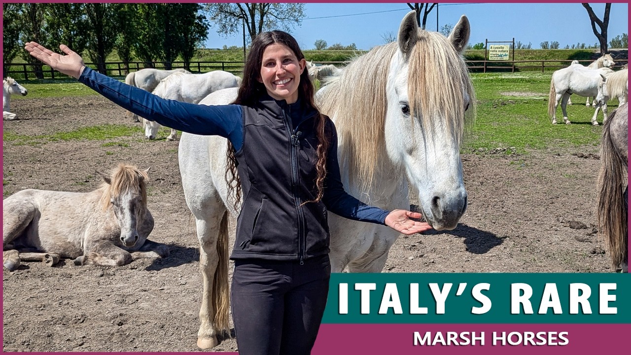 Riding the Rare Delta Horse in Italy