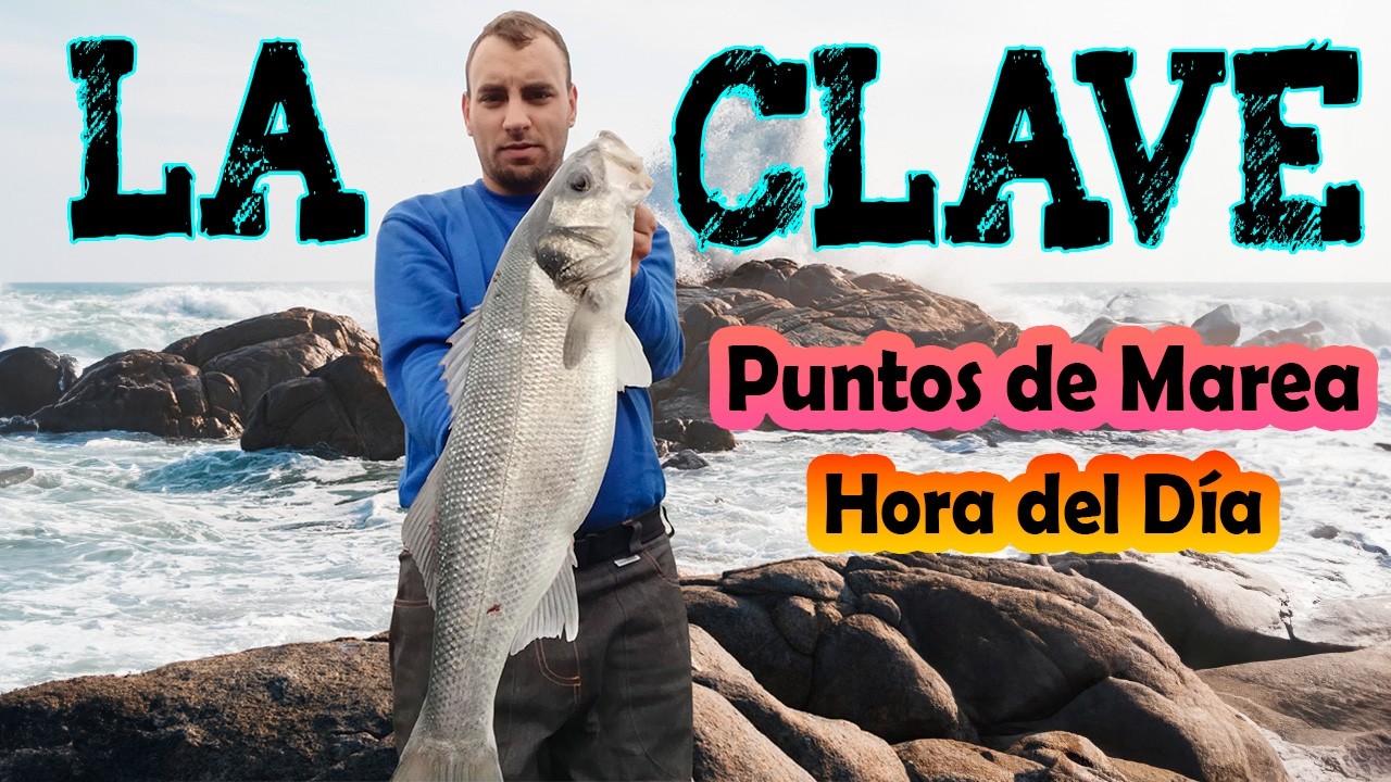 A QUE HORA y con QUE MAREA es mejor PESCAR A SPINNING❓LA CLAVE para AUMENTAR tus CAPTURAS