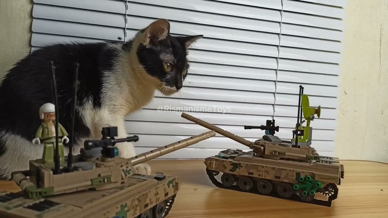 Cat vs Tank