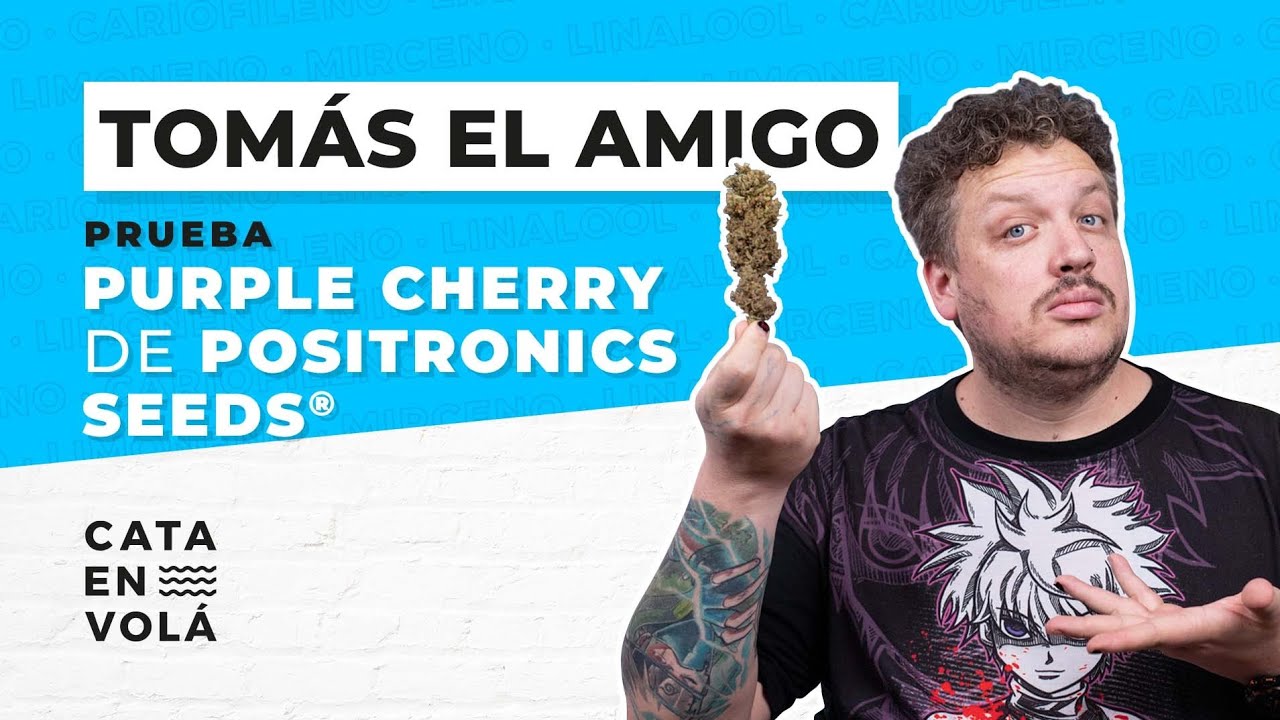 TOM&Aacute;S LEIVA FUMA Y VUELA EN VIVO