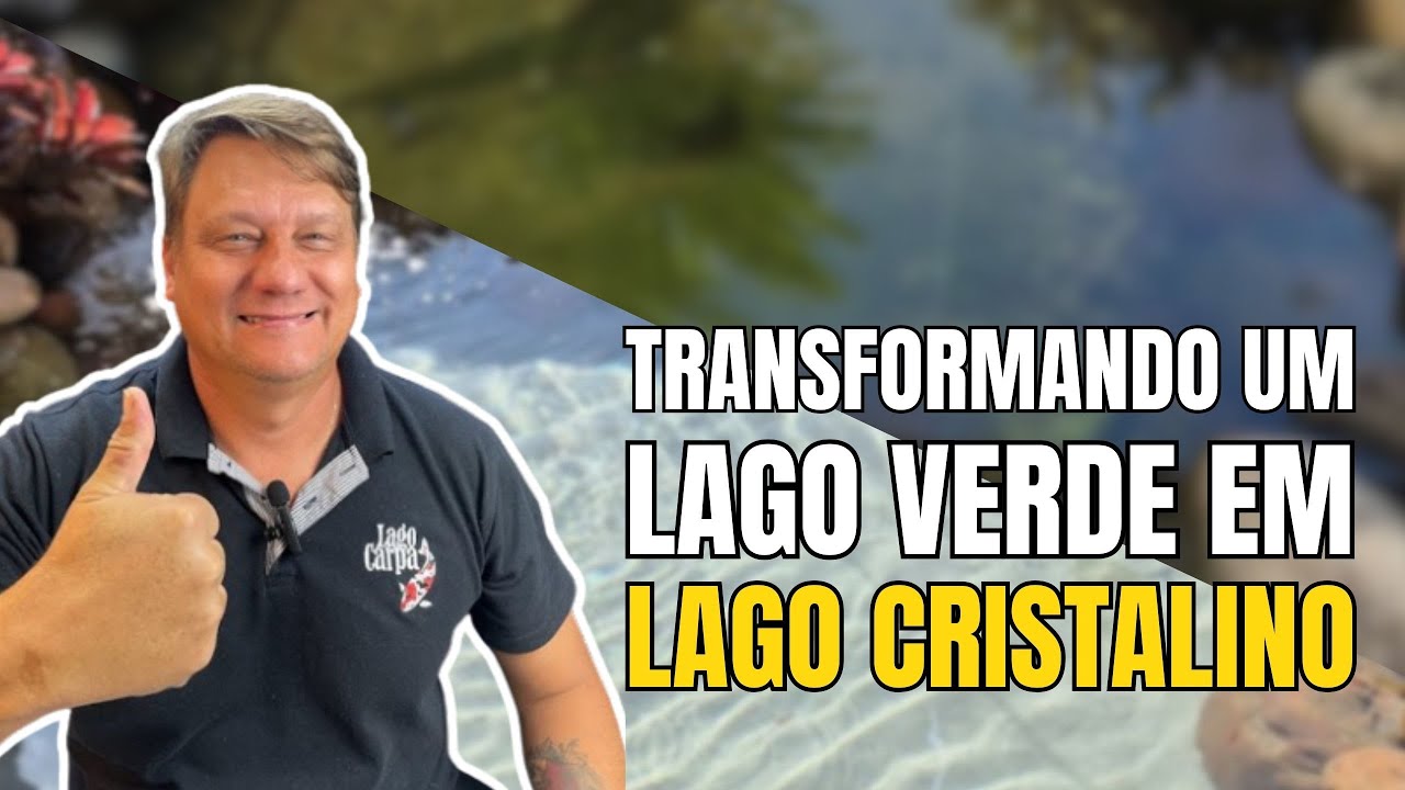 Revitalização de Lago Ornamental - Antes e Depois Impressionante!