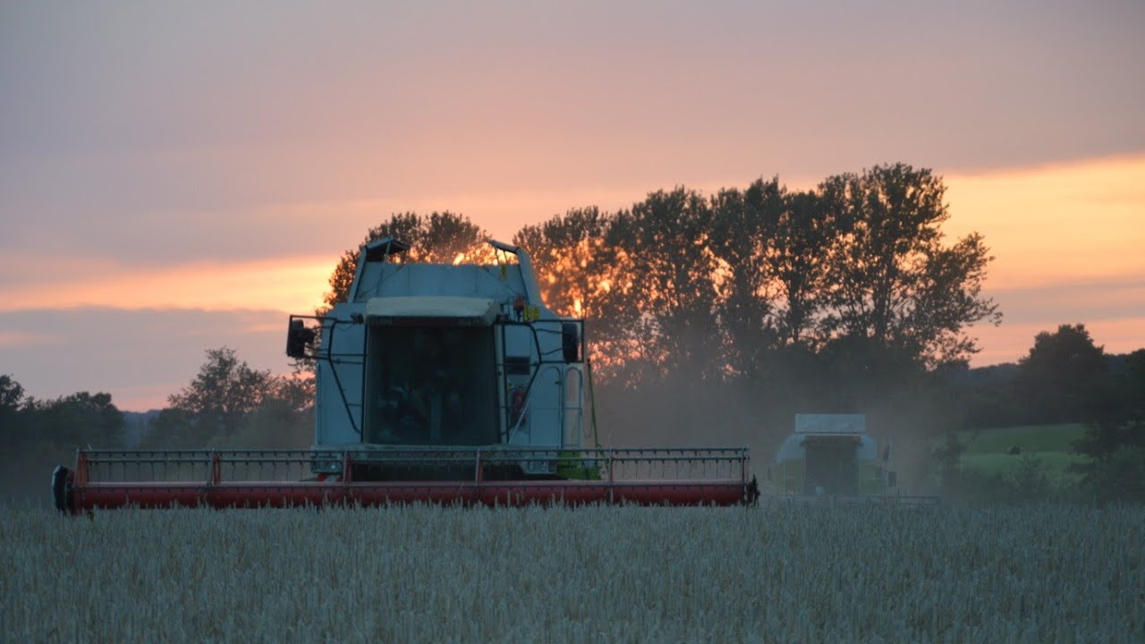 《Claas Lexion 460 & Claas Mega 218》| Roggen Dreschen 2019 | DJI Mavic Air
