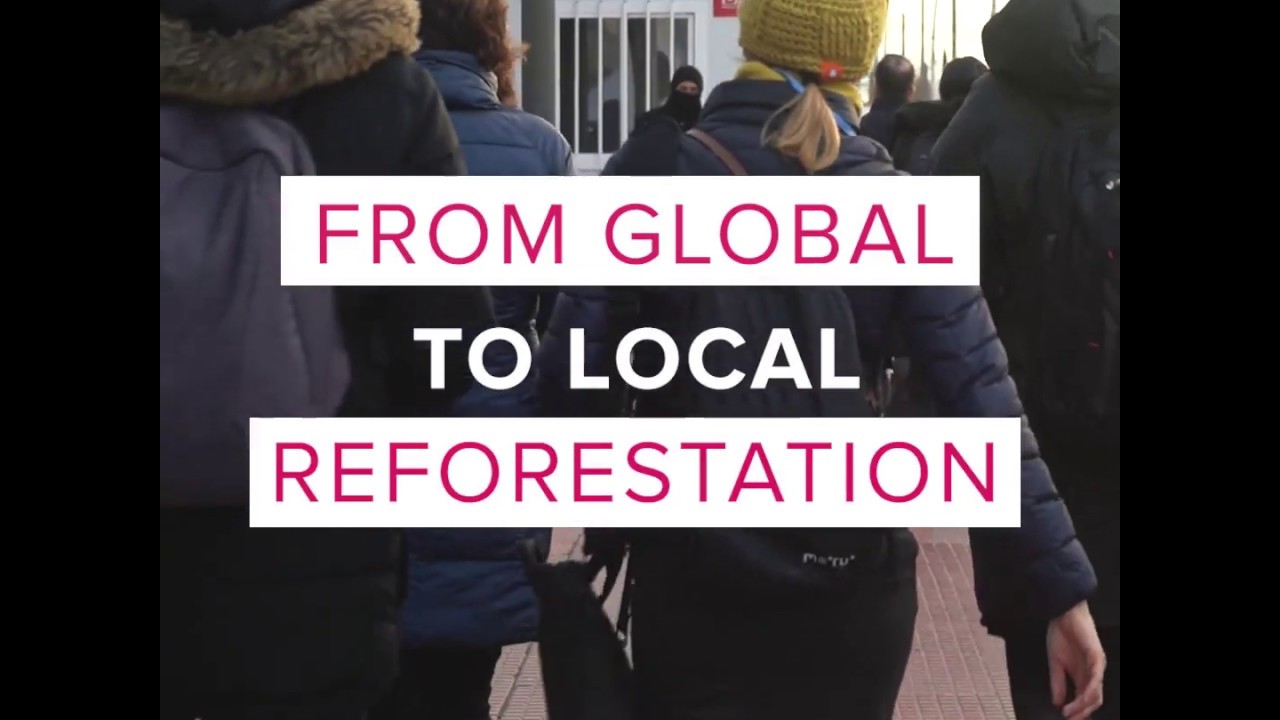 COP25 - Cities4Forests official side-event at the EU Pavilion [Highlights]
