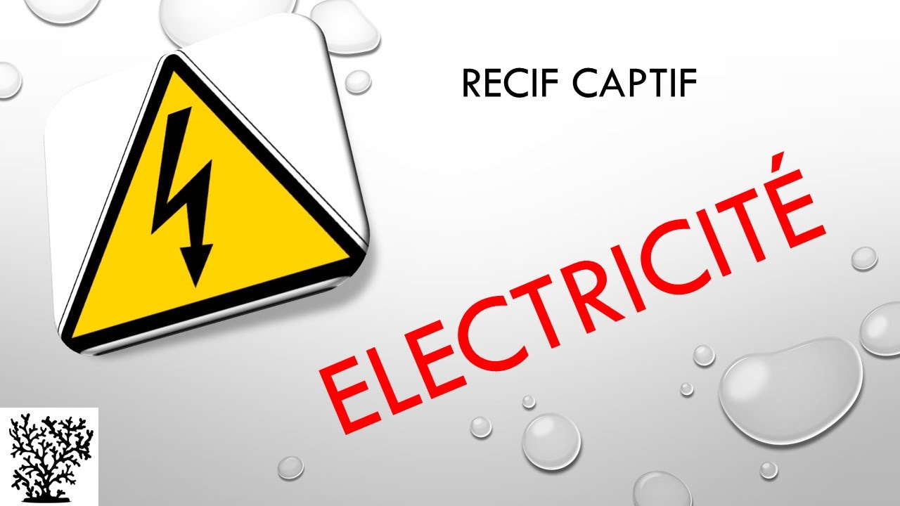 Electricité- Mr Recif Captif #49