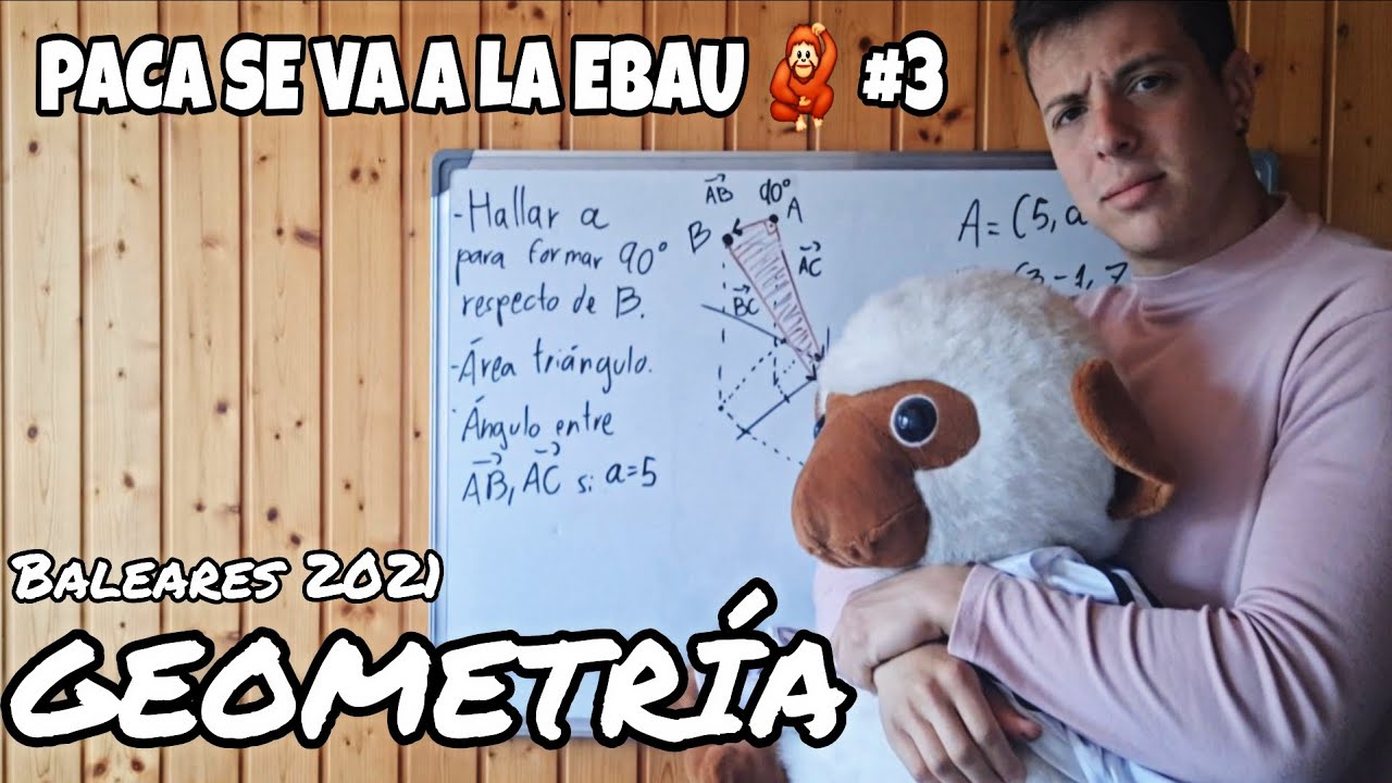 GEOMETRÍA EBAU. Triángulo rectángulo, área y ángulos extraños. 🔼📐 (#StopTriangulos 🛑)