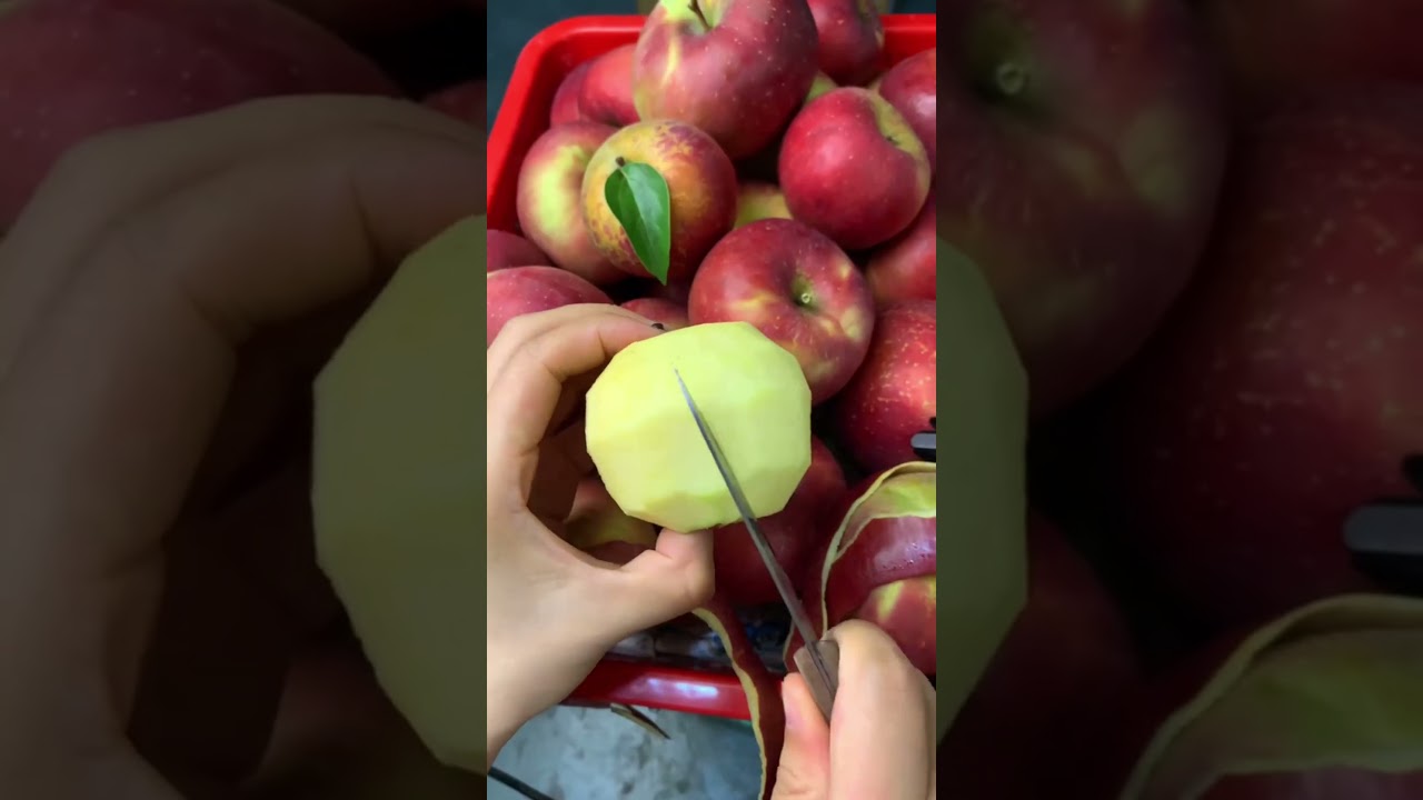 Apple picking 🍎#agriculture#rural life#farming#planting #naturallife#garden#Harvesting#fruit#freshly
