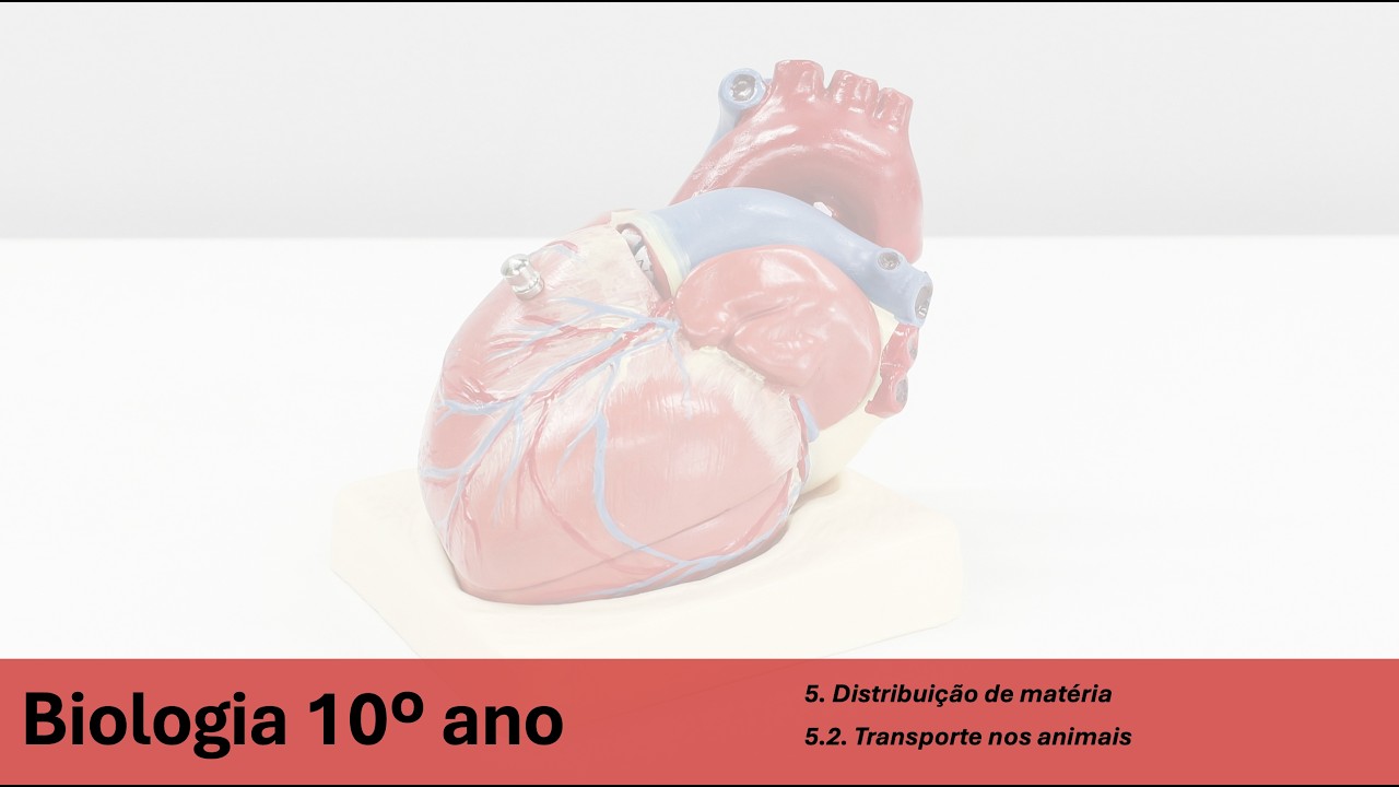 Biologia 10º | Aula 6 | Transporte nos animais