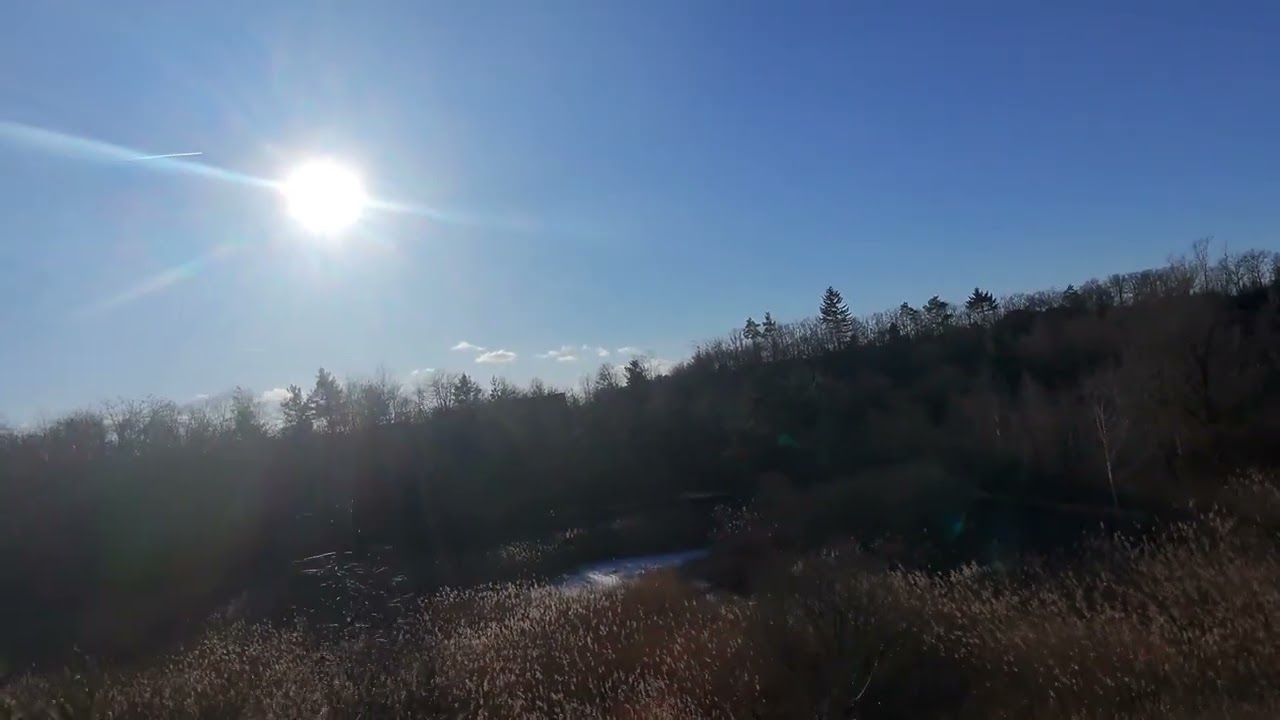 DJI Neo - strong wind and small branches