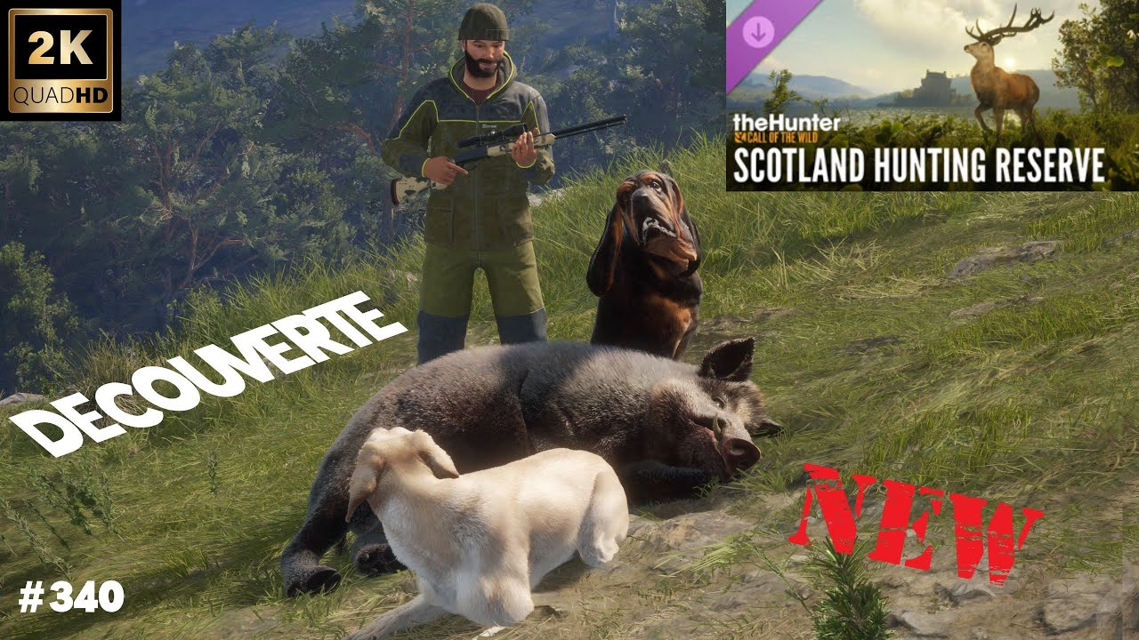 THEHUNTER CALL OF THE WILD #340 DECOUVERTE DE LA NOUVELLE MAP SCOTLAND HUNTING RESERVE 2025