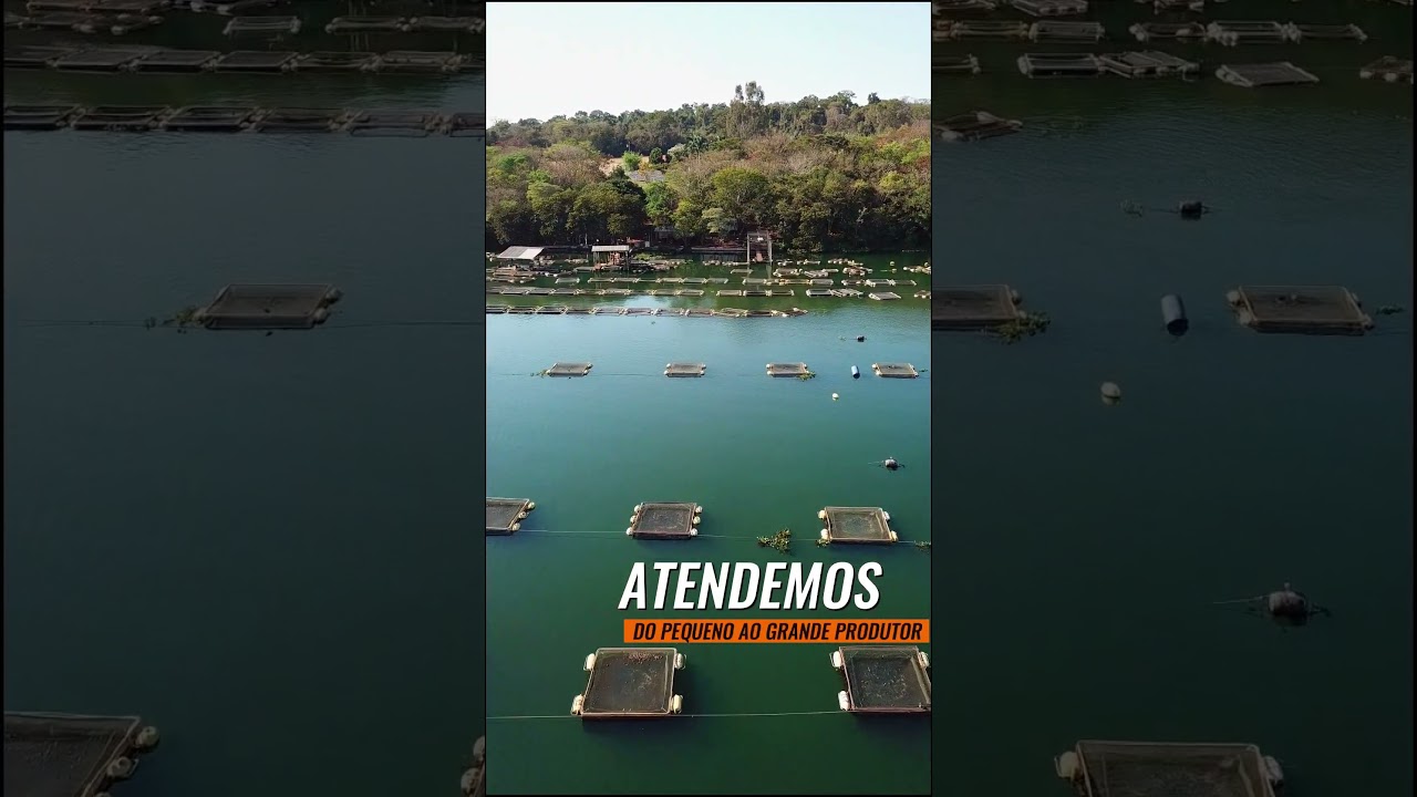 Tanques-Rede Iarema vistos de cima